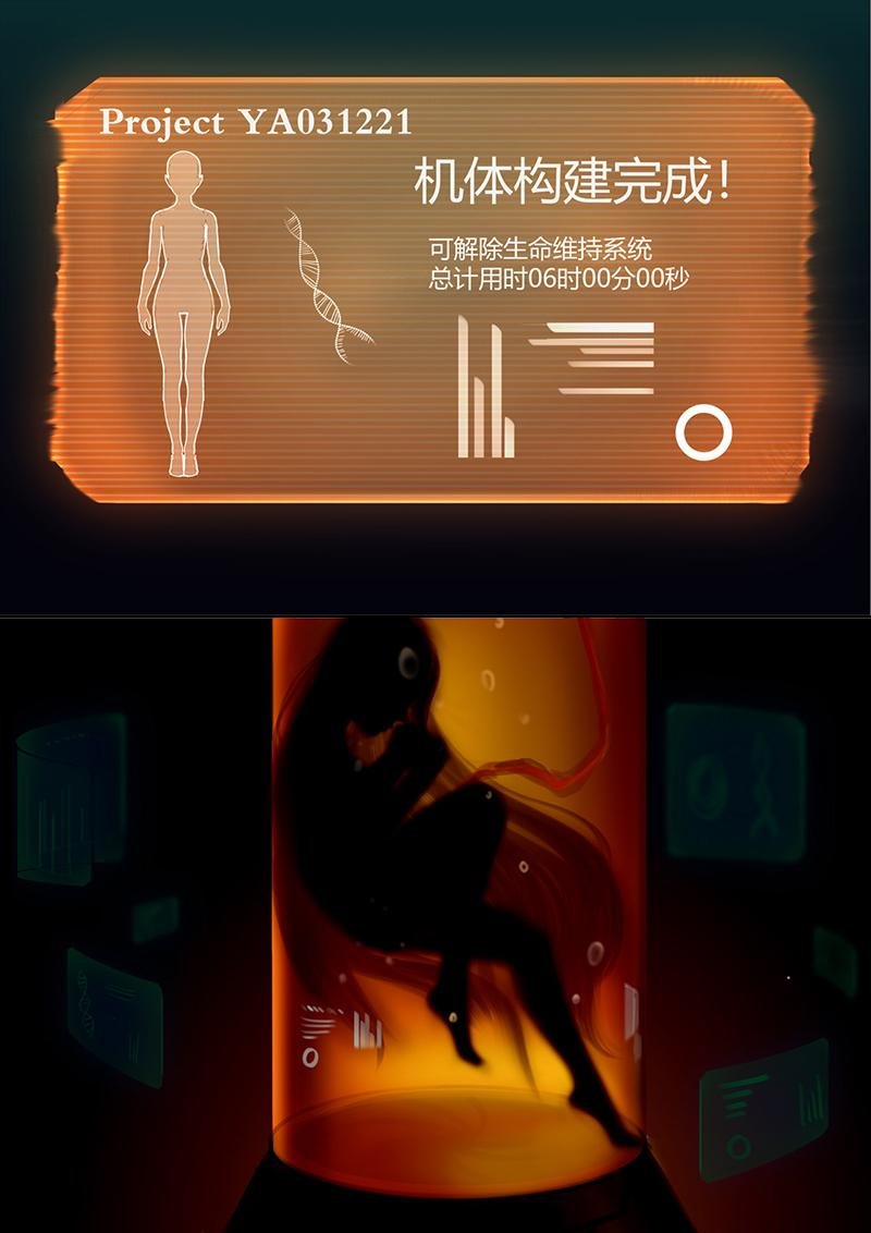 第三章 实验体
