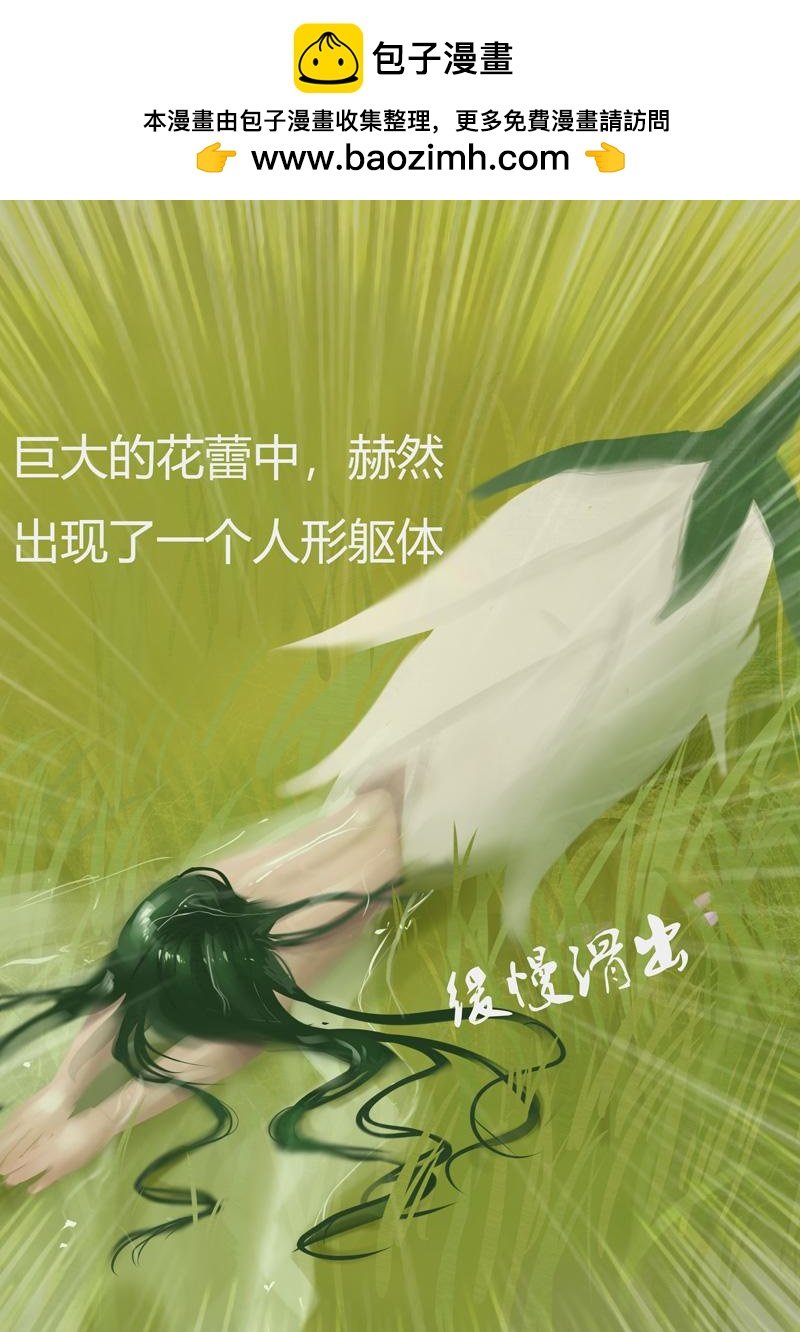 第二章 花之岛