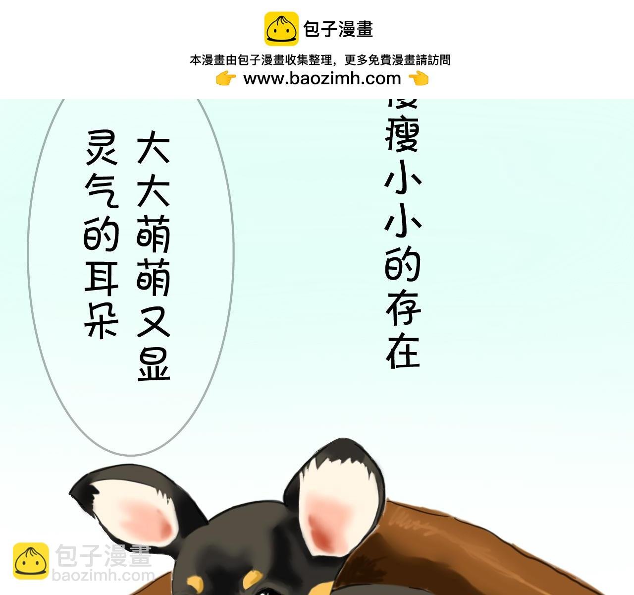 序章 陪伴是最长情的告白