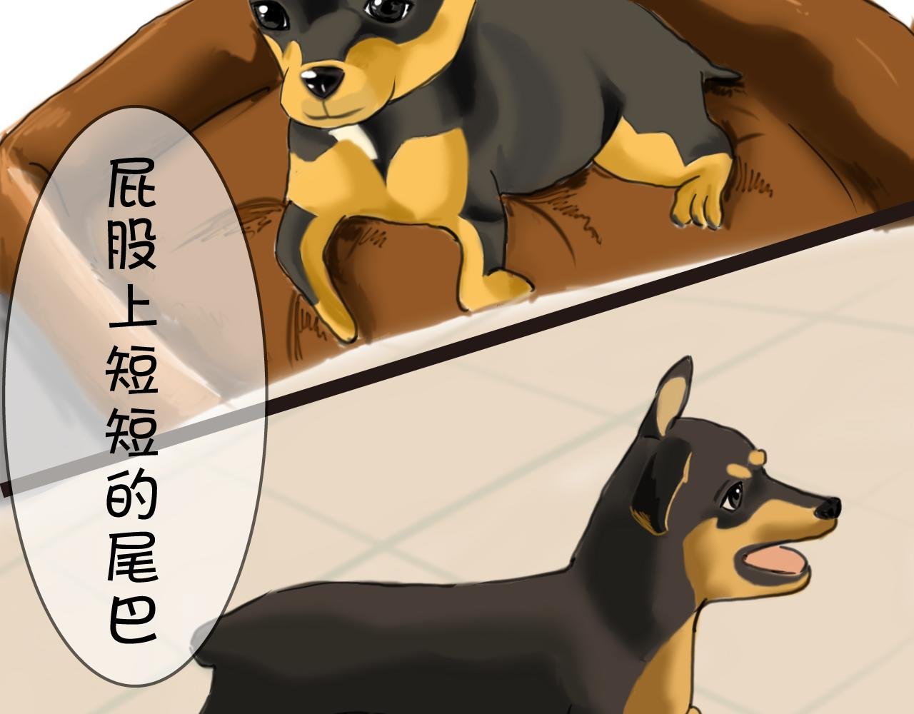 序章 陪伴是最长情的告白