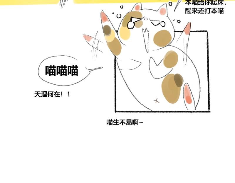 第二话 见义勇为（前篇）