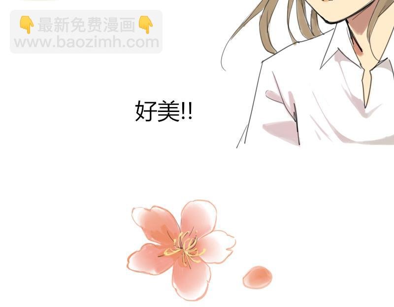 预告