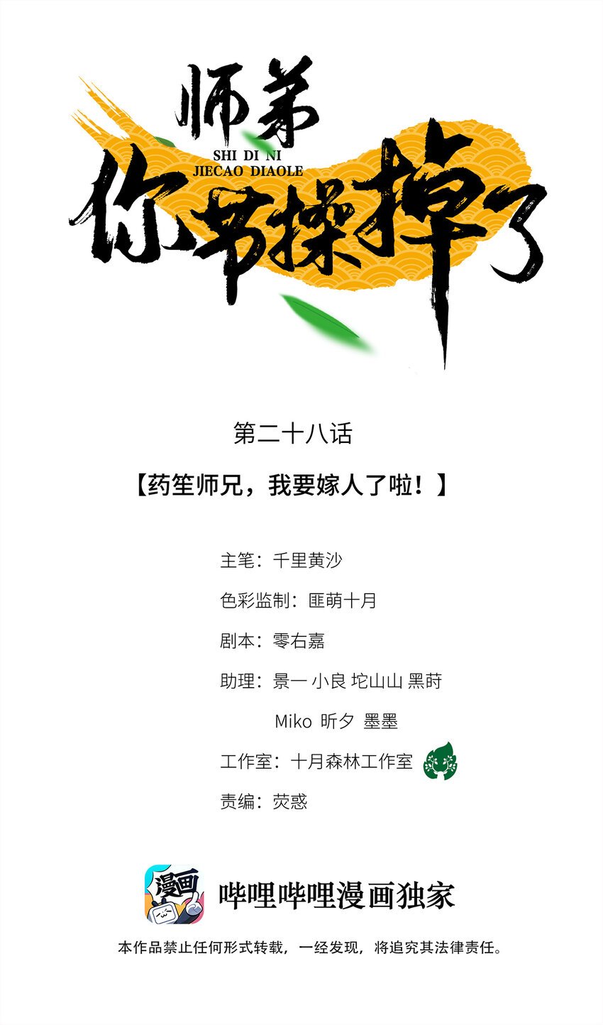 28 药笙师兄，我要嫁人了啊！