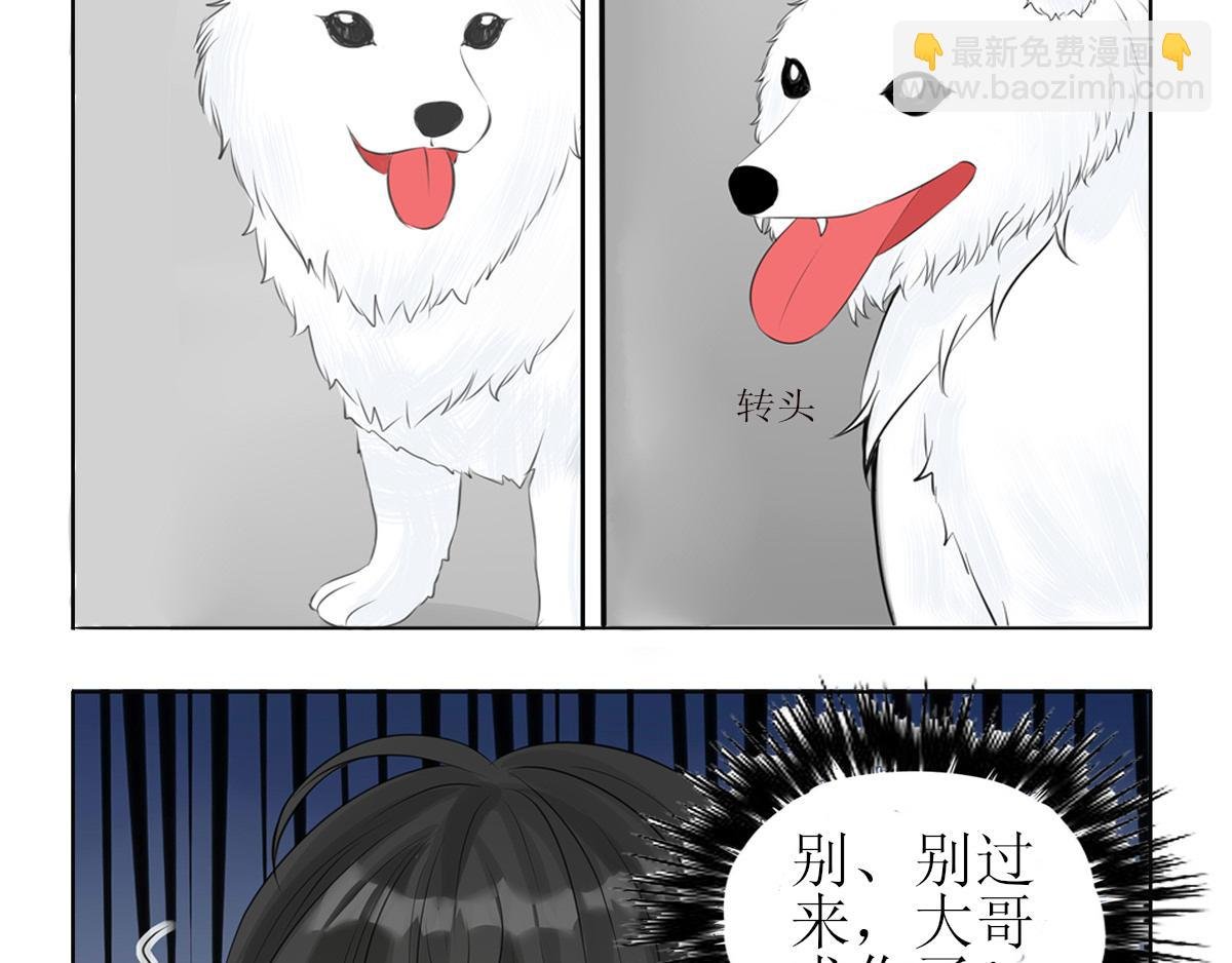 001 壁咚