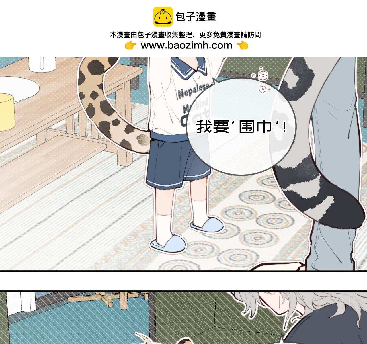围巾