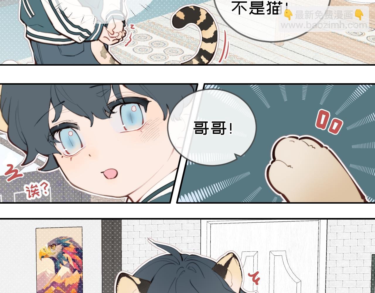 围巾