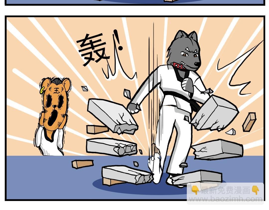 #03 闪亮登场