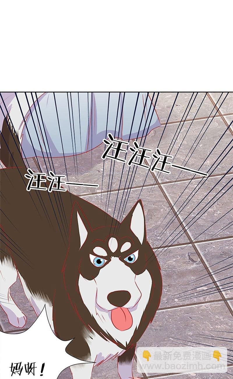 第66话 寻找苏樱