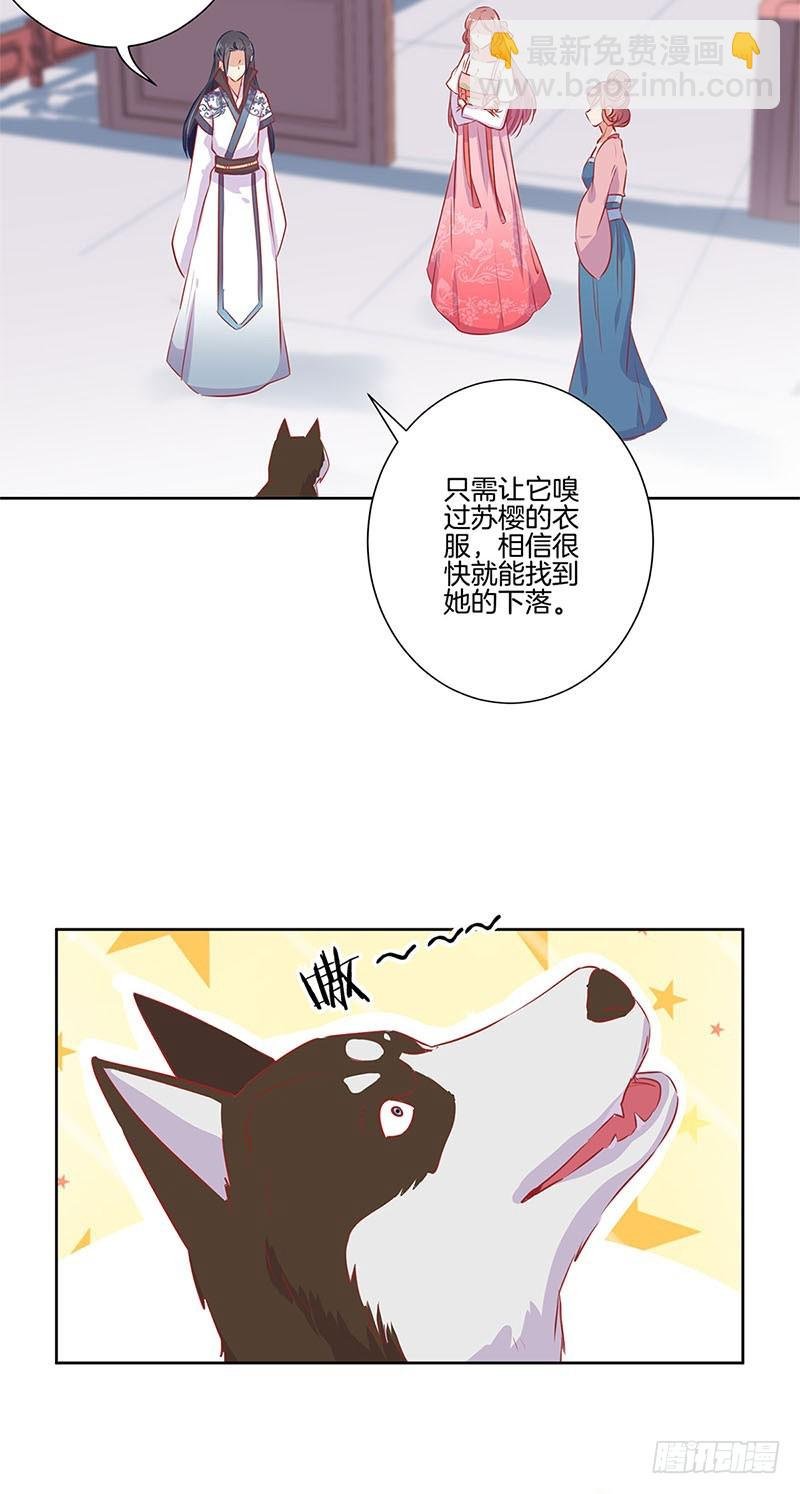 第66话 寻找苏樱