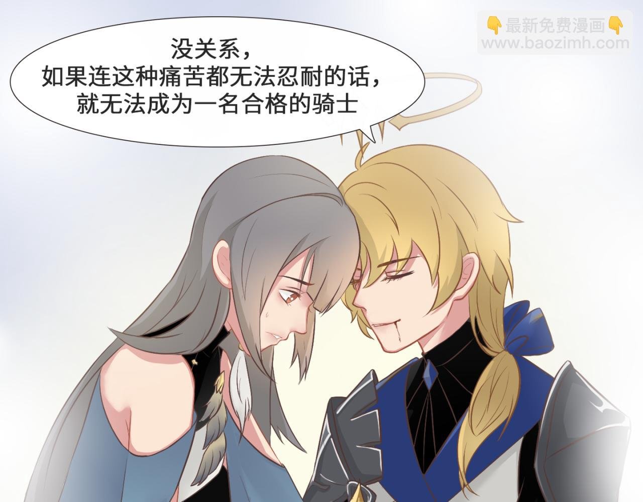 骑士与伯爵