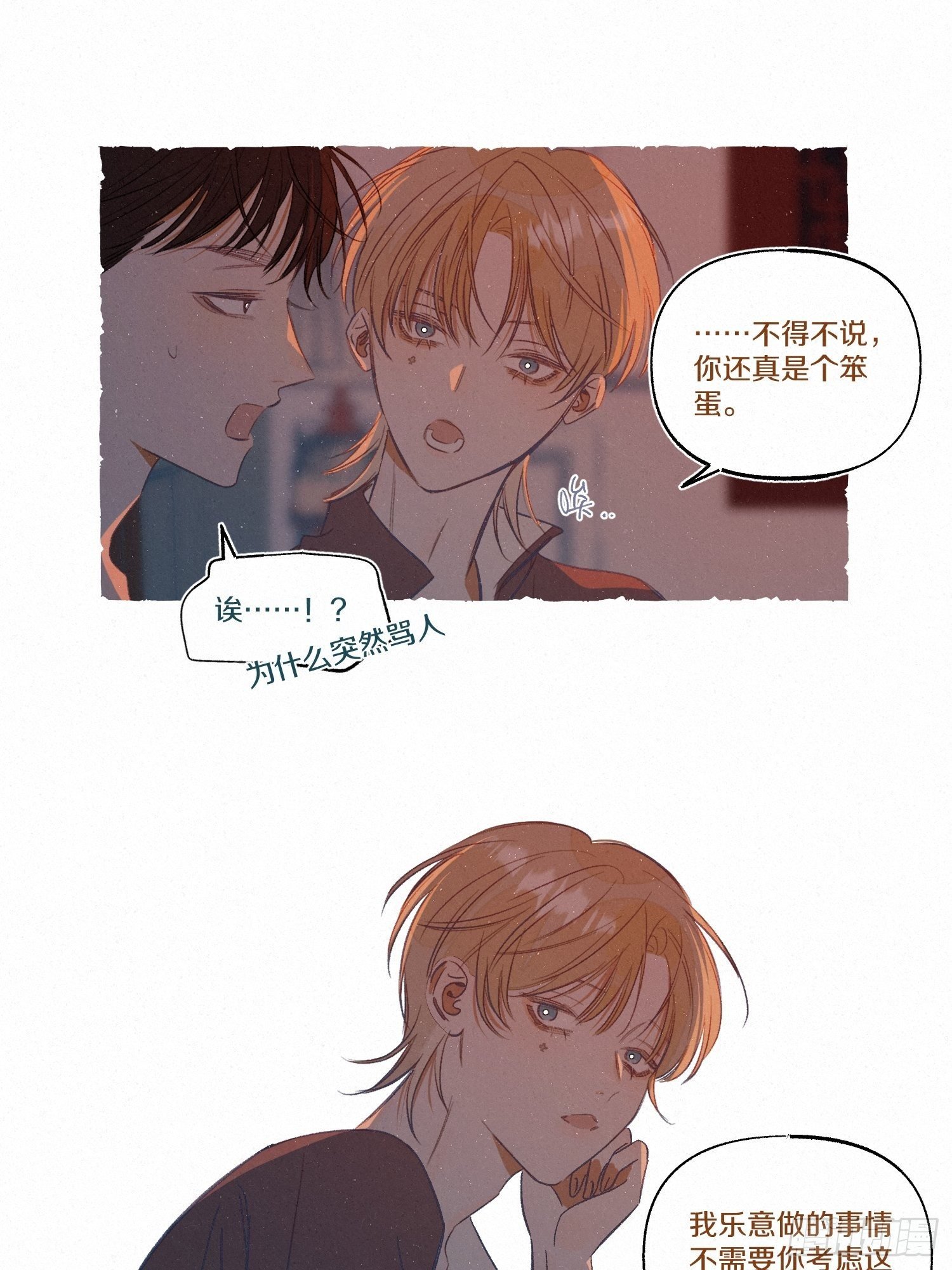 四、巷子里的猫（上）