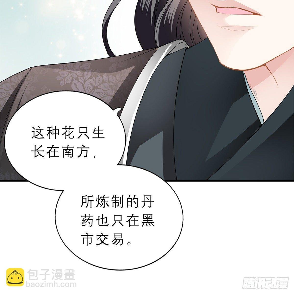 带她去南方