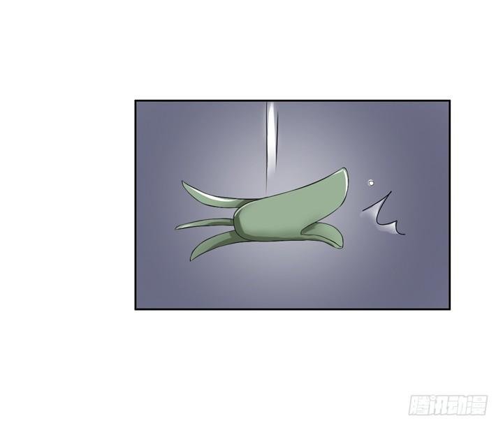 57话 公子，该苏醒了