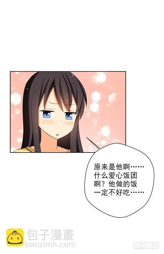 白羽的爱心饭团