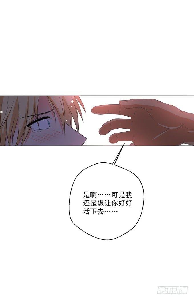 我愿意再与你相遇