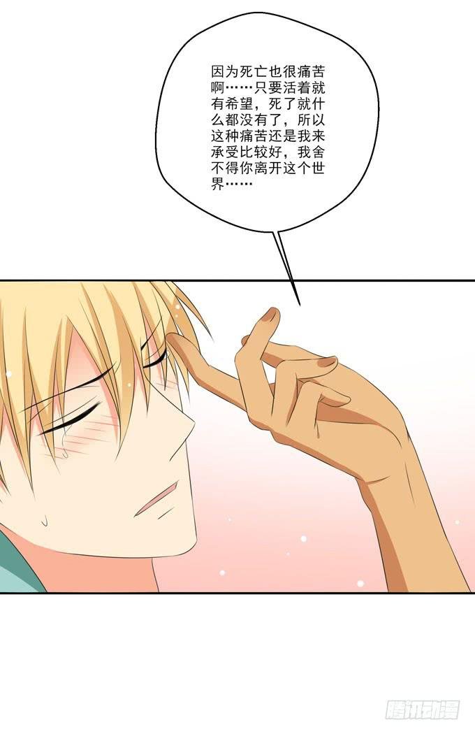 我愿意再与你相遇