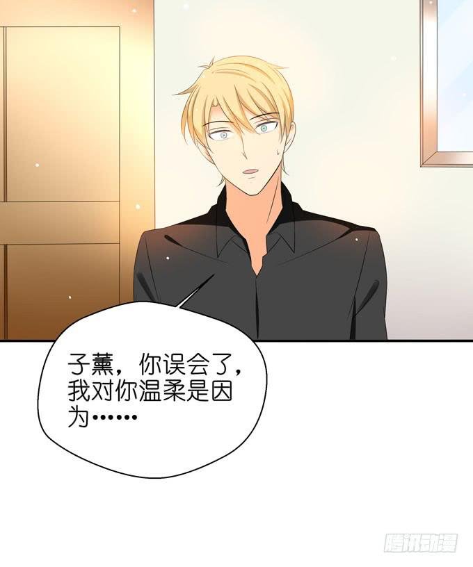 替代品？！