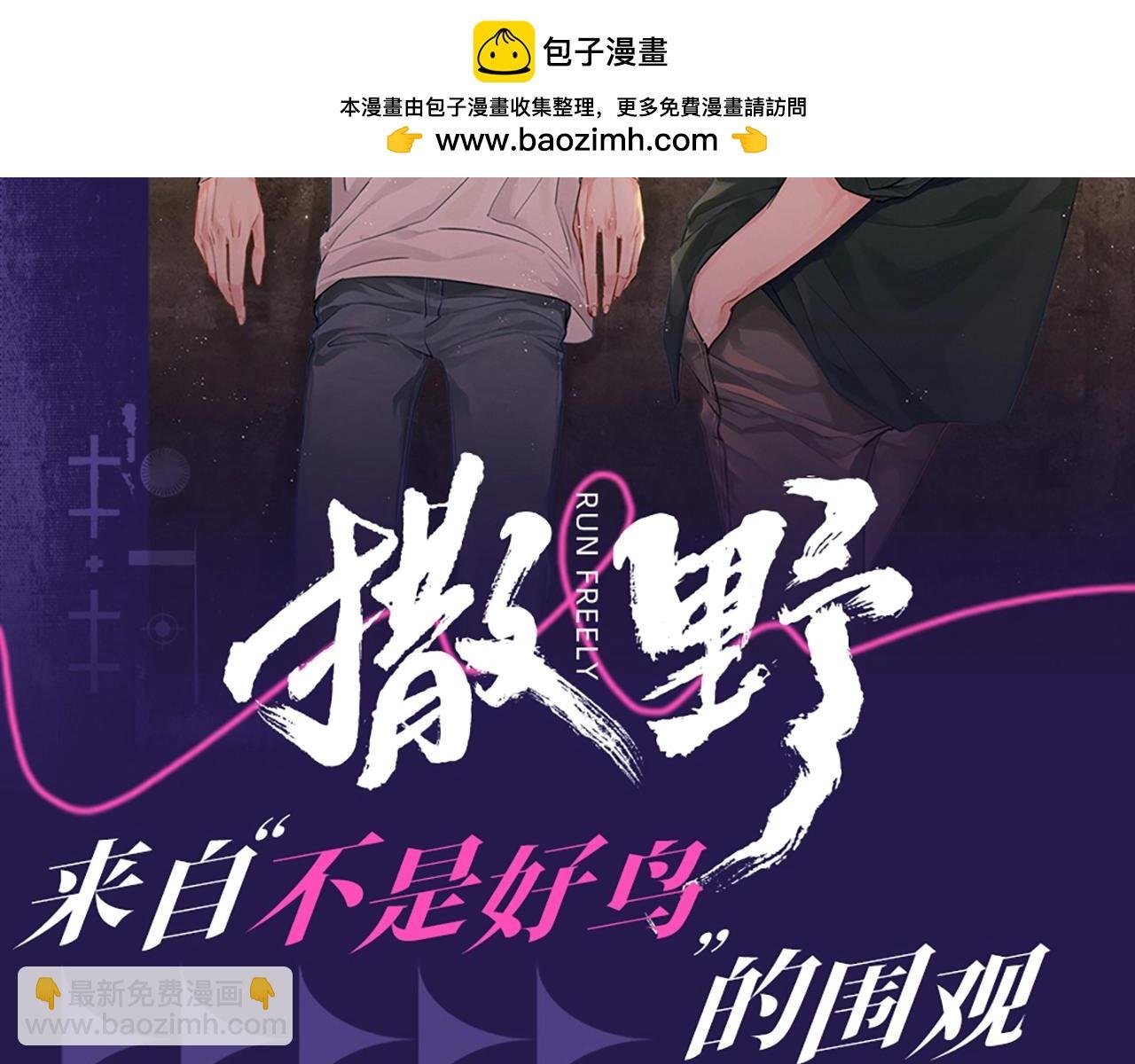 第6期 整活企划：来自“不是好鸟”的围观