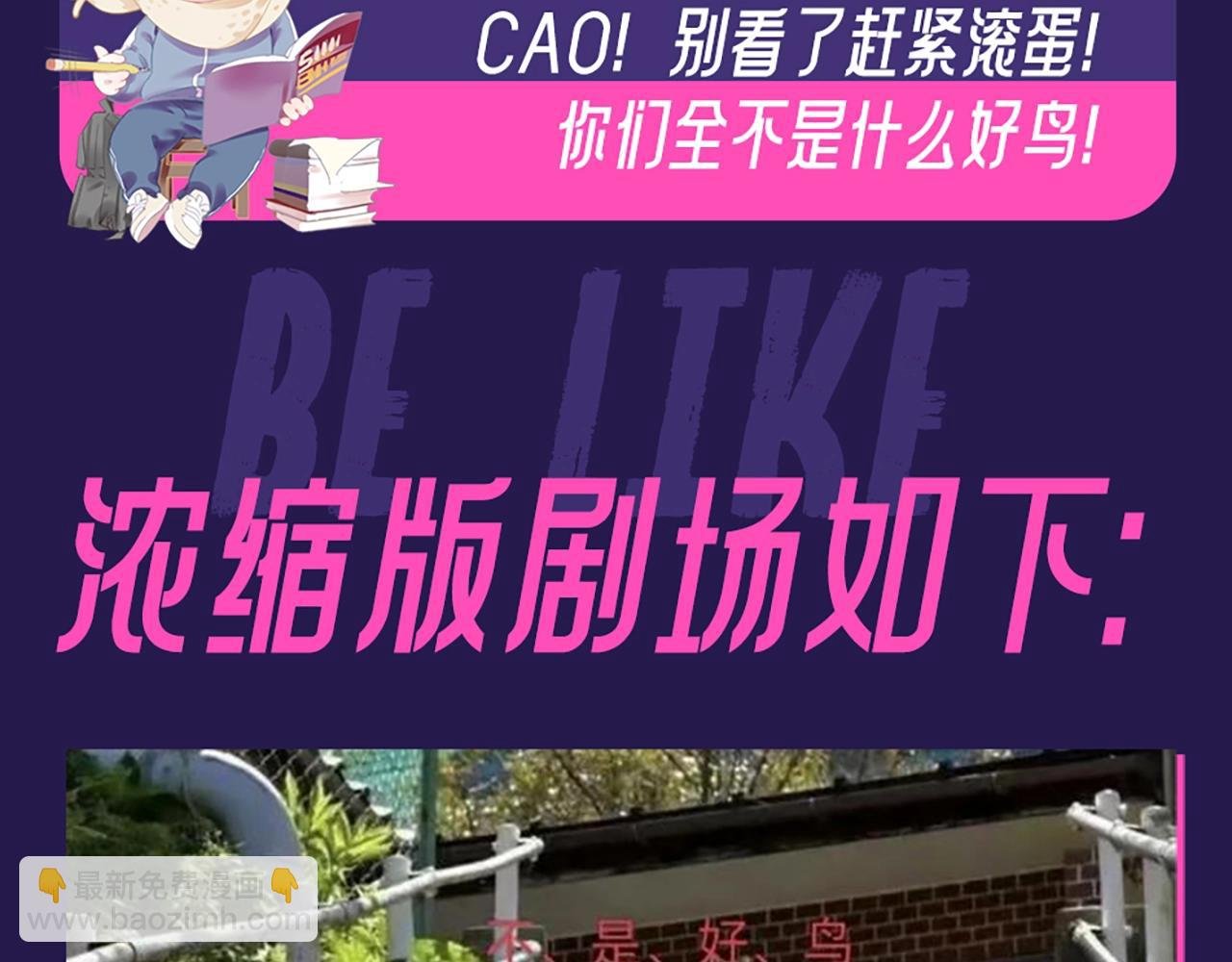 第6期 整活企划：来自“不是好鸟”的围观
