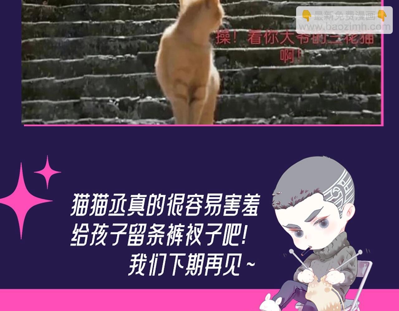 第6期 整活企划：来自“不是好鸟”的围观