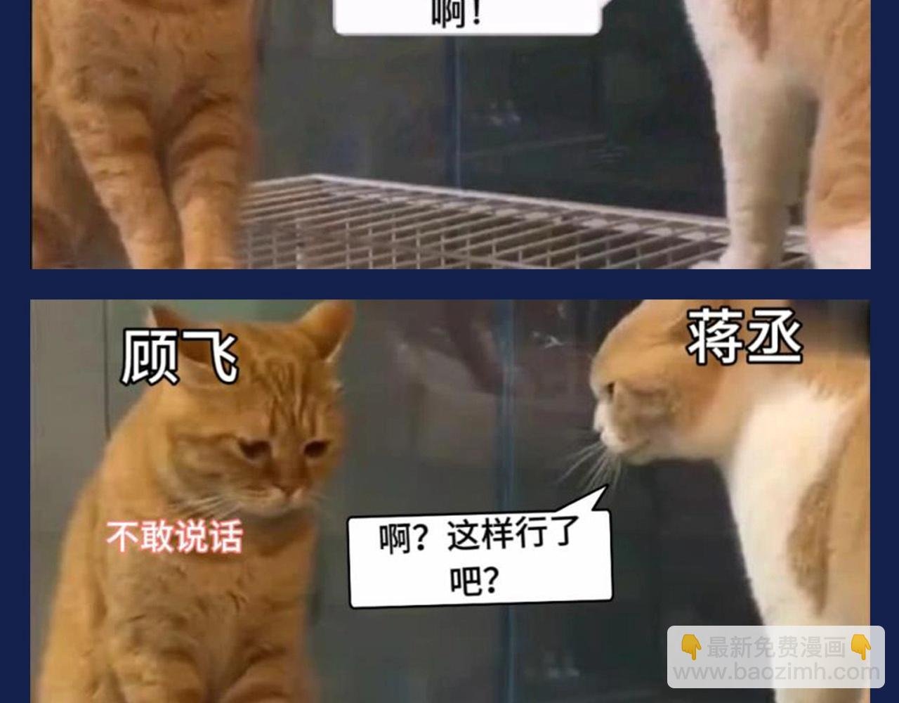 第8期 搞点事：兔飞飞的家庭弟位是这样的！