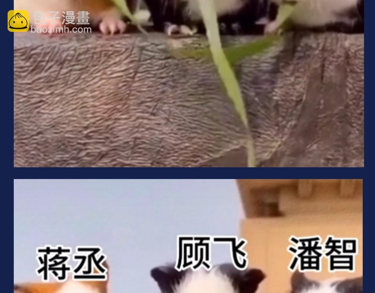 第40期 搞点事：假如动物塑潘智、蒋丞、顾飞