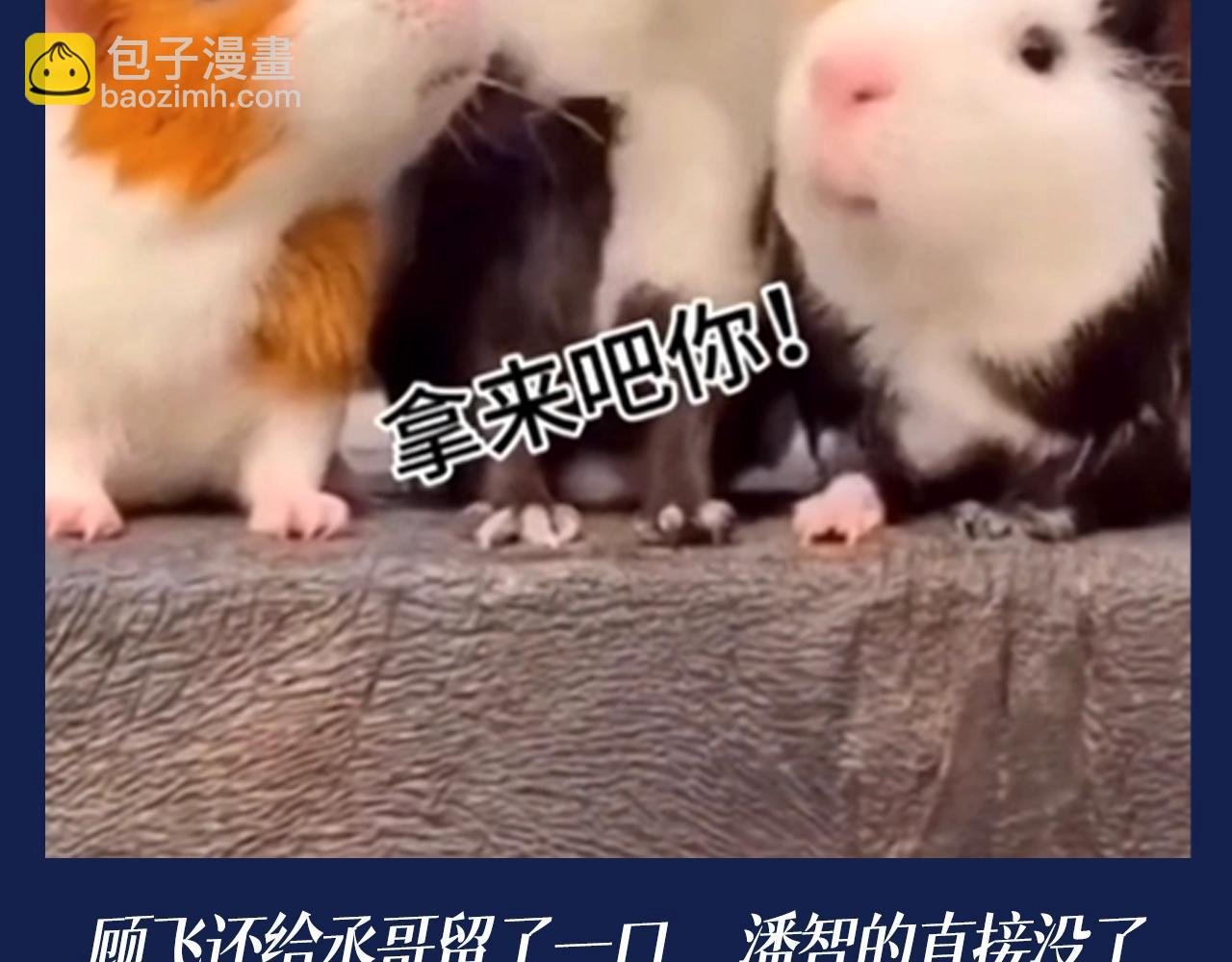 第40期 搞点事：假如动物塑潘智、蒋丞、顾飞