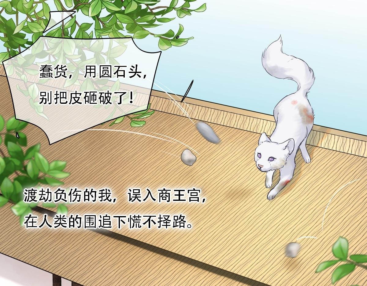 第1话 岁月无边