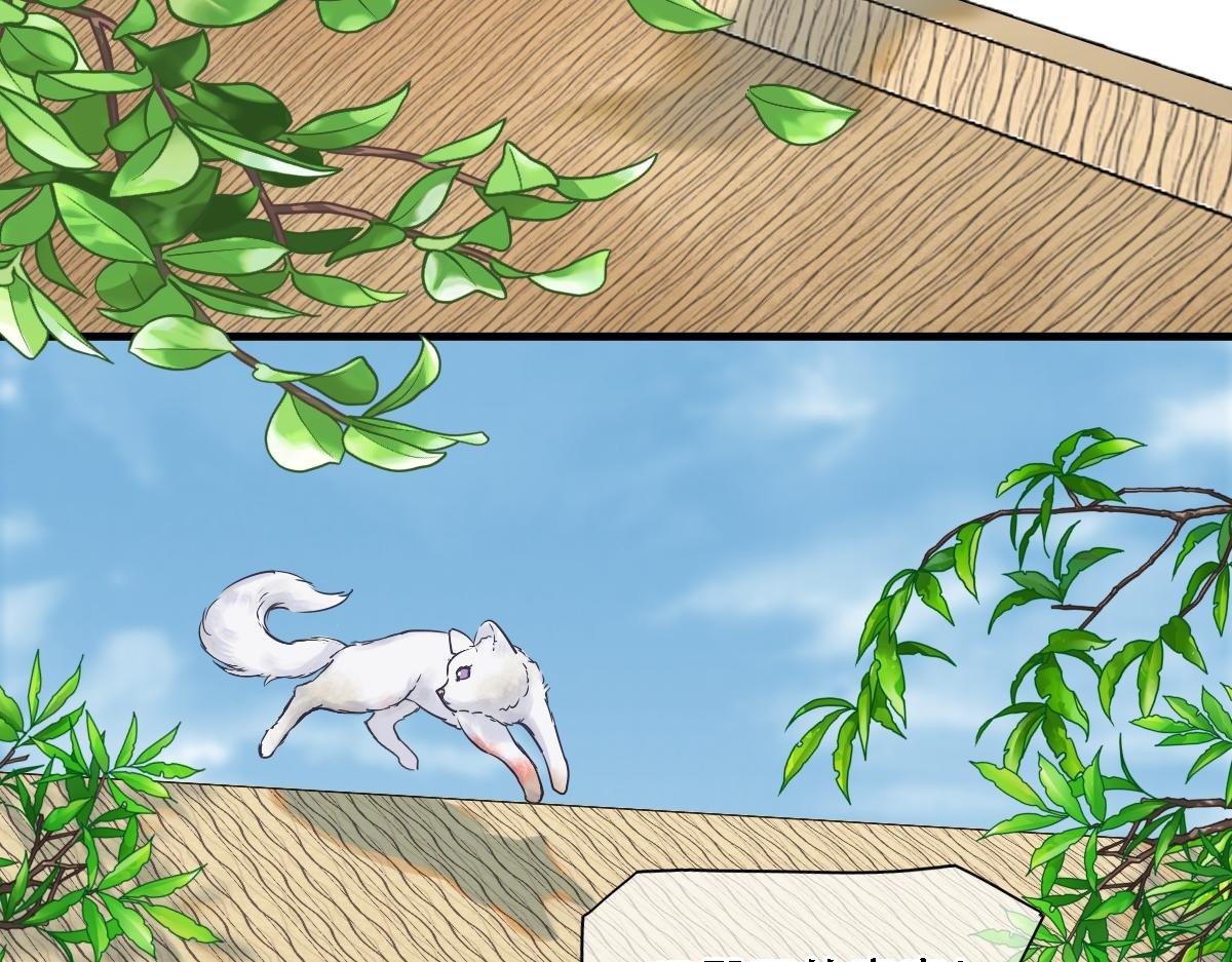 第1话 岁月无边