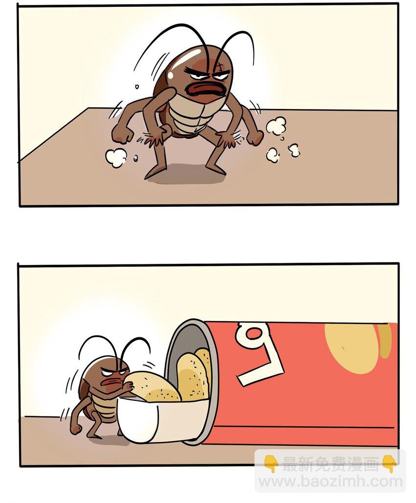 247 247