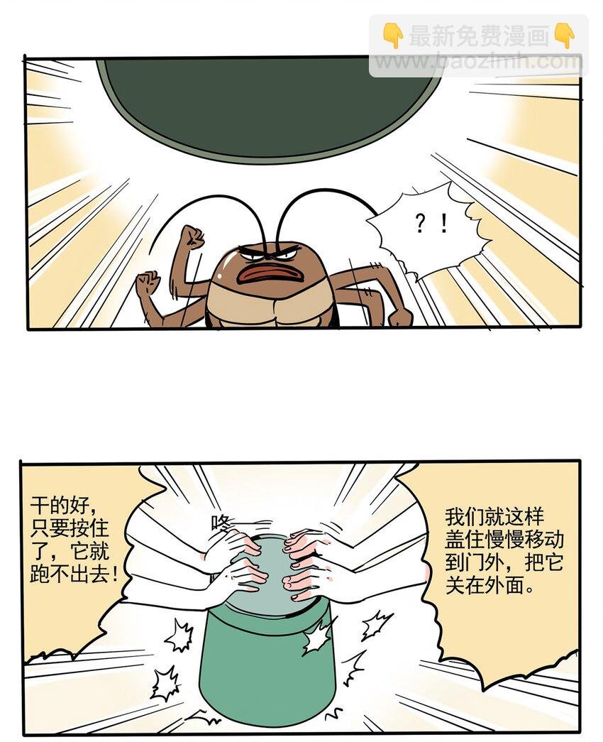 247 247
