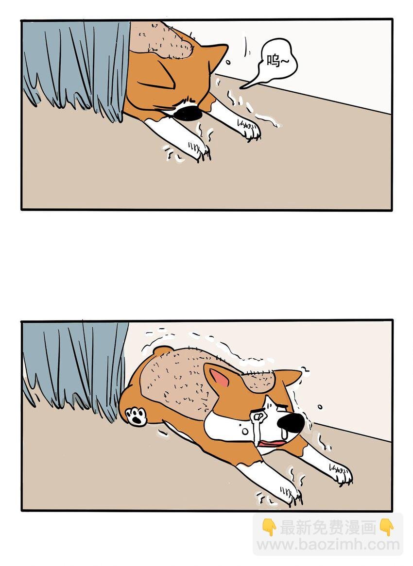 327 327