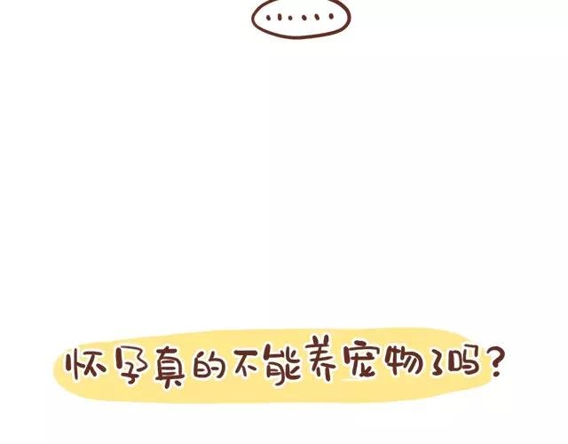 第114话 宠物禁养？！