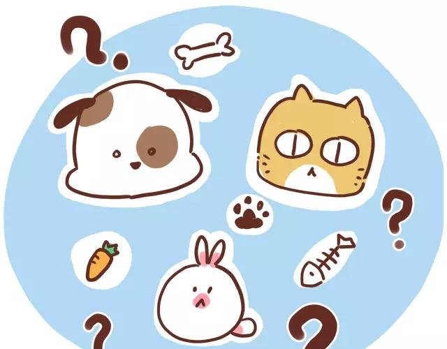 第114话 宠物禁养？！