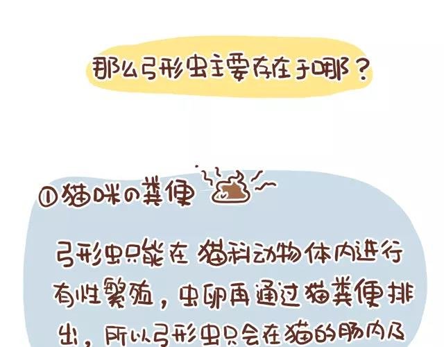 第114话 宠物禁养？！