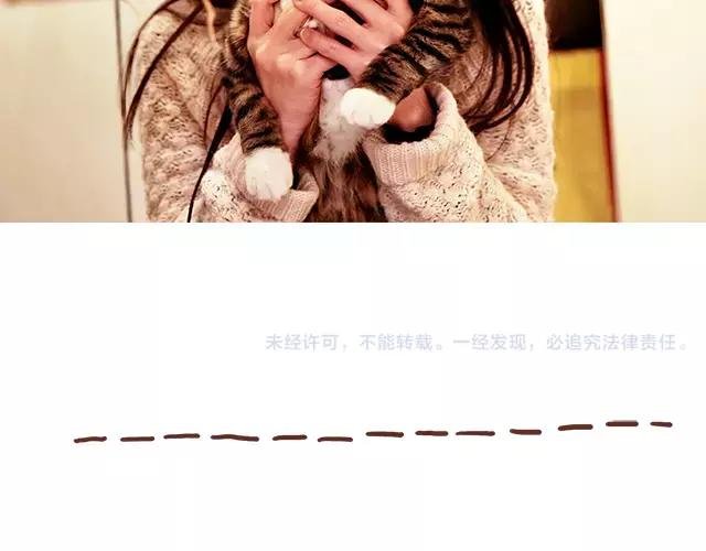 第114话 宠物禁养？！