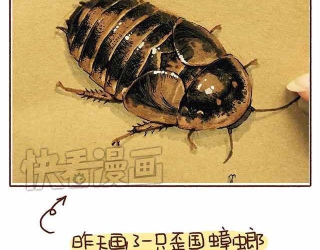 第44话 做了个伟大的决定
