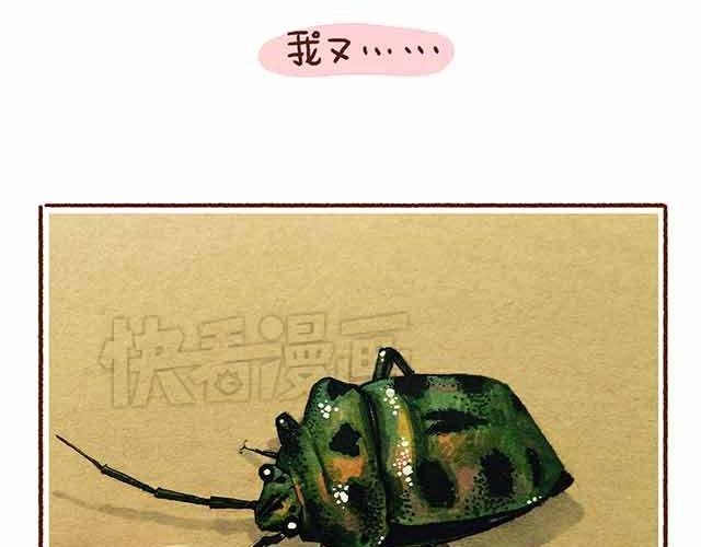 第44话 做了个伟大的决定