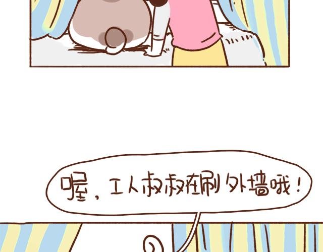 我的蓝白条纹内裤呢？