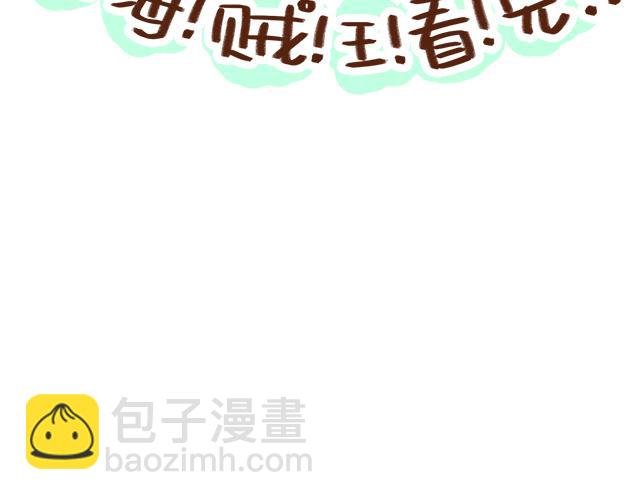 单身的原因