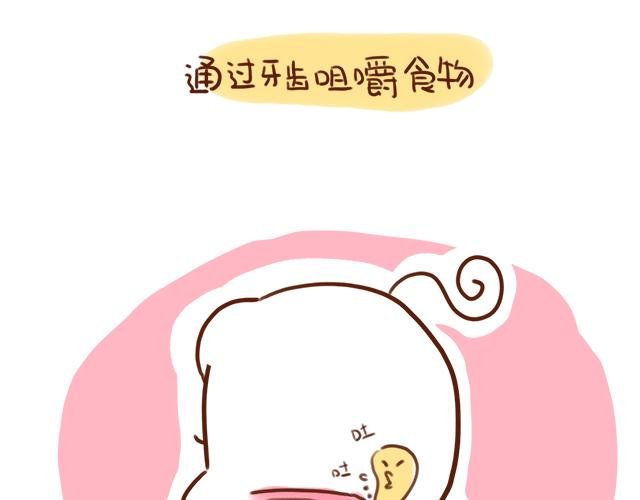 吃饭不洗碗胜似活神仙