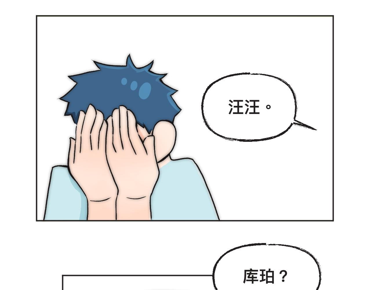 第三章：宠物店