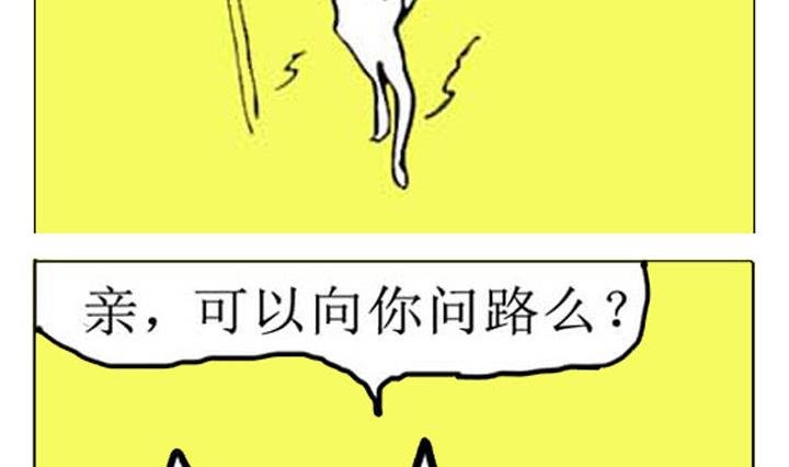 人在江湖漂怎能不带猫 第3集