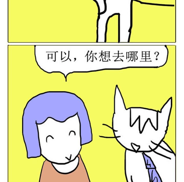 人在江湖漂怎能不带猫 第3集