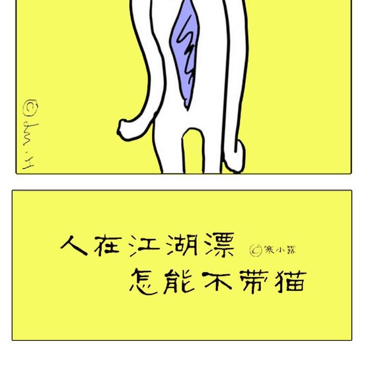 人在江湖漂怎能不带猫 第3集