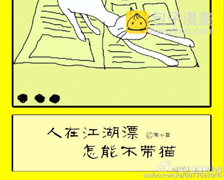 人在江湖漂怎能不带猫 第2集