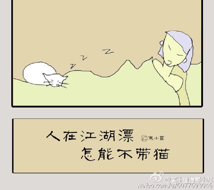 人在江湖漂怎能不带猫 第2集