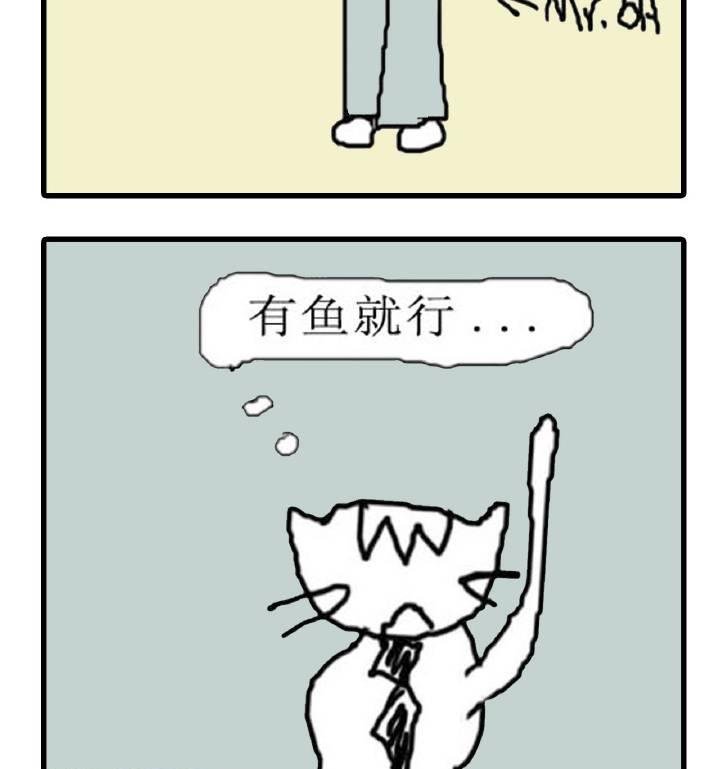 人在江湖漂怎能不带猫 第2集