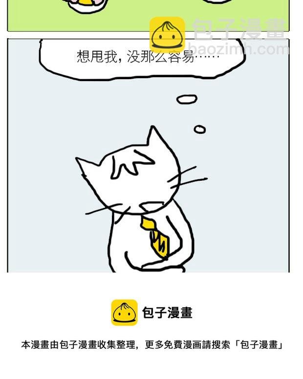 人在江湖漂怎能不带猫 第2集