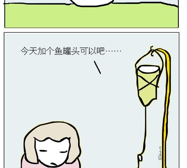 人在江湖漂怎能不带猫 第2集